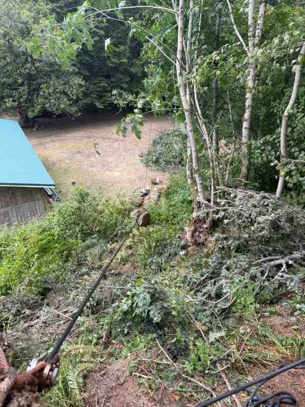 Worker cutting brush and clearing debris on the ground