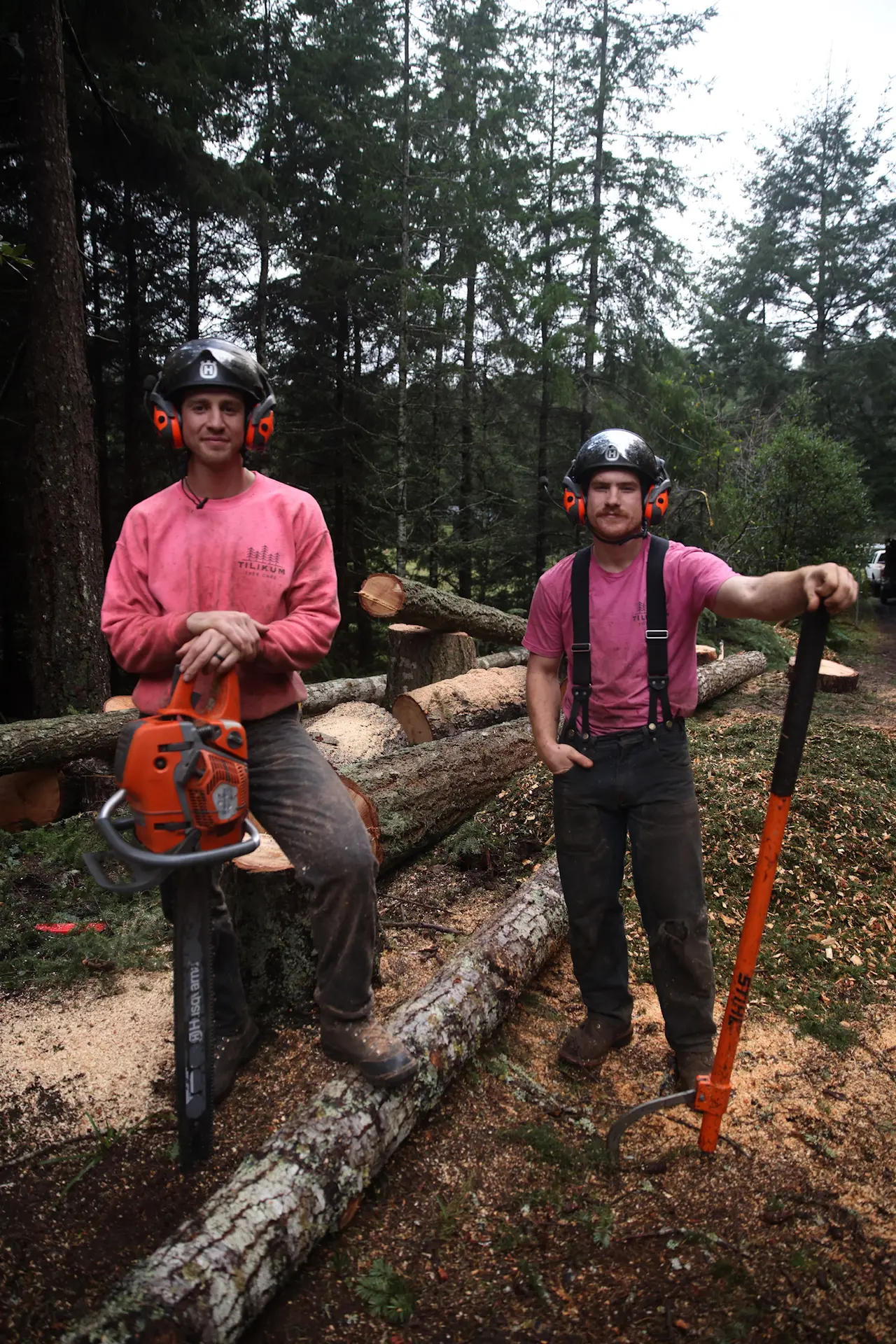 Professional Arborists - Tilikum Tree Care